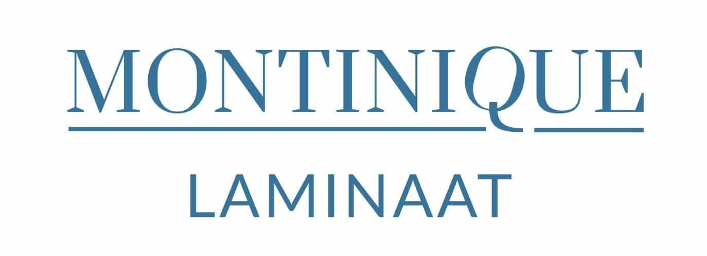 montinique logo