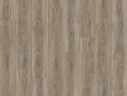 Ambiant Robusto Click SRC Beige 6155255919