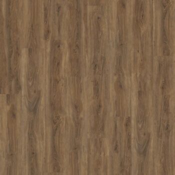 Ambiant Robusto Click SRC Warm Brown 6155253219