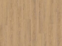 Ambiant Robusto Click SRC Natural Oak 6155255519