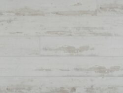 CoreTec ProPlus+ Union 50-RLV-1229