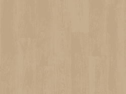Belakos Monastro Rigid click  920
