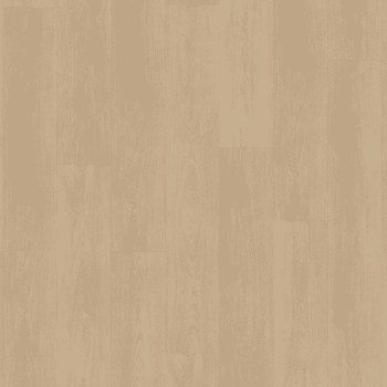 Belakos Monastro Rigid click  920