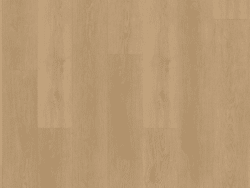 Belakos Monastro Rigid click  930