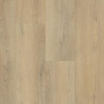 Belakos Palazzo Rigid Click  720