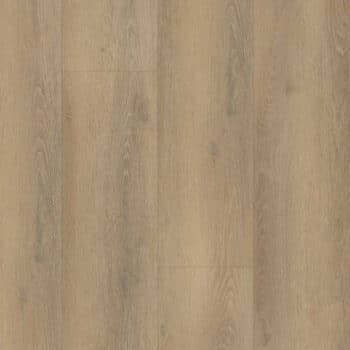 Belakos Palazzo Rigid Click  760