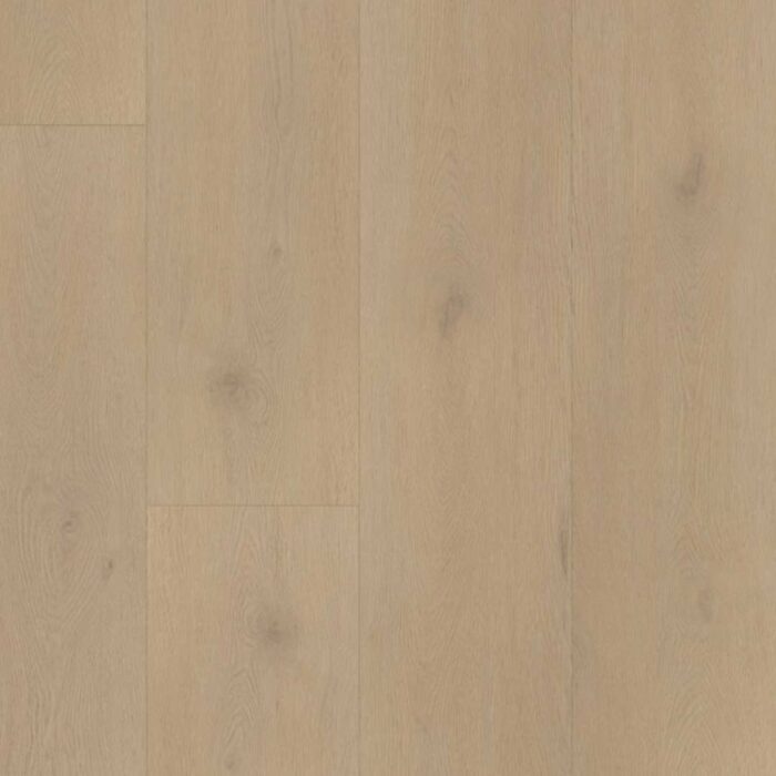 Belakos Palazzo Rigid Click  770