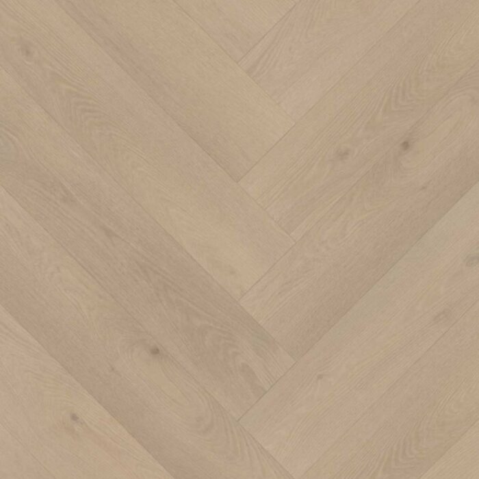 Belakos Palazzo Visgraat XL Rigid click  74