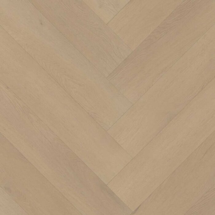 Belakos Palazzo Visgraat XL Rigid click  77