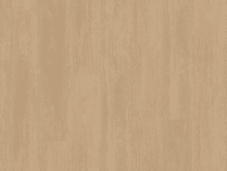 Belakos Terreno Rigid click  610