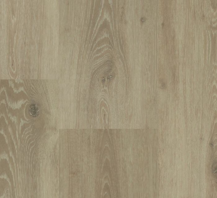 Hebeta Chamonix Rigid Click  55804