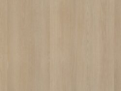 Ambiant Cavalley Beige  5031015219