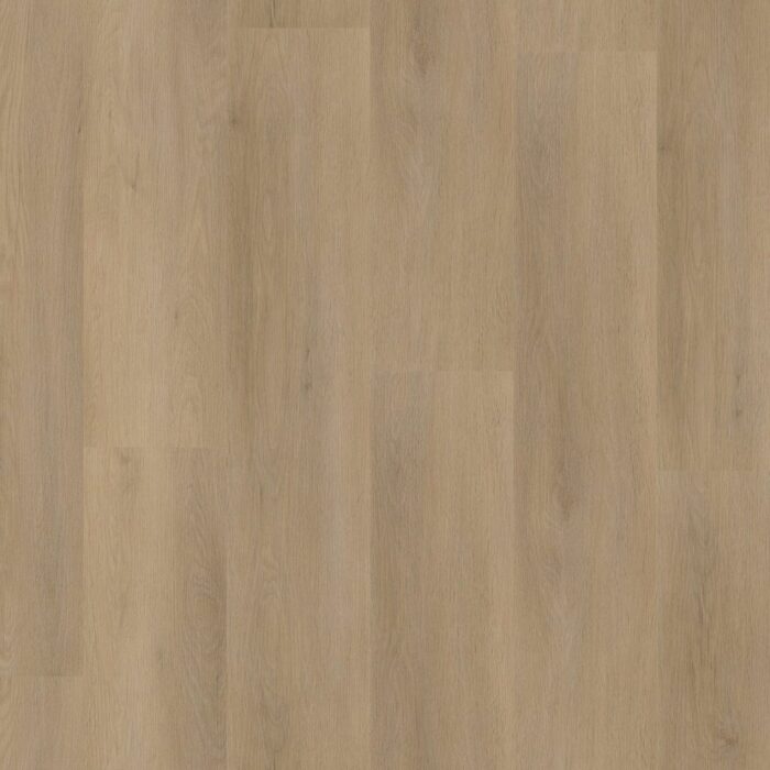 Ambiant Sentima Click  Beige 6012841119