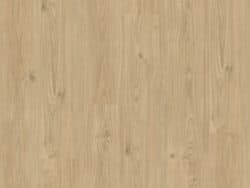 Aspecta Essentials RC55 Plank Baron XL Plank 29536