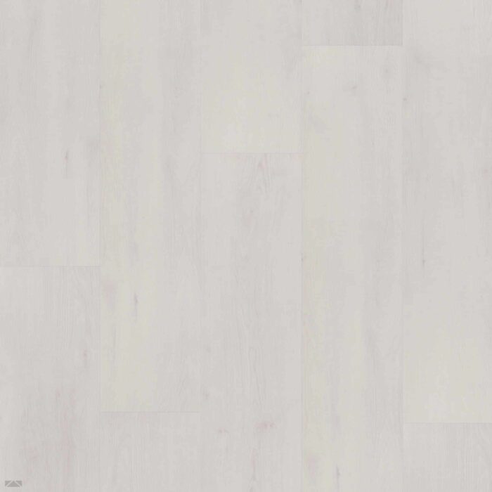 Bodiax BP400 Ivar Krijt 4484