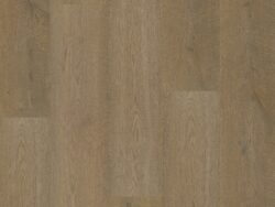 Bodiax BP500 Thor Belleville Oak 515