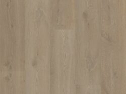 Bodiax BP500 Thor Burnaby Oak 512