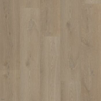 Bodiax BP500 Thor Burnaby Oak 512