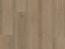 Bodiax BP500 Thor Clarington Oak 516