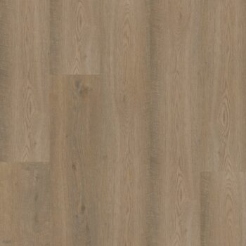 Bodiax BP500 Thor Clarington Oak 516