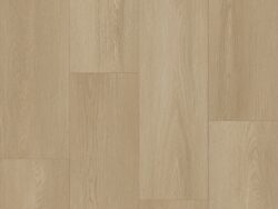 Bodiax BP500 Thor Dune 535
