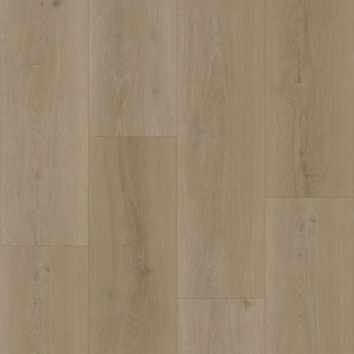 Bodiax BP500 Thor Legian 530 Thor