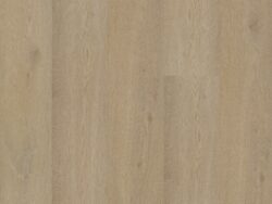 Bodiax BP500 Thor Pickering Oak 513