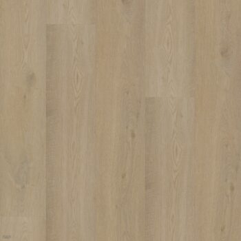 Bodiax BP500 Thor Pickering Oak 513