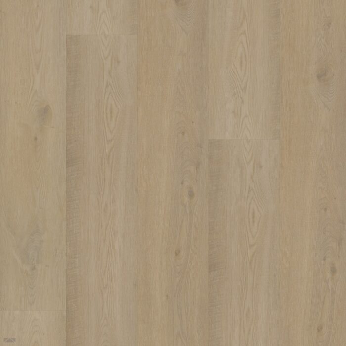 Bodiax BP500 Thor Pickering Oak 513