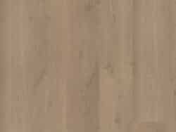Bodiax BP500 Thor Richmond Oak 510 Thor