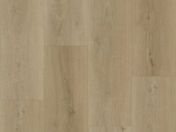 Bodiax BP500 Thor Sage 532