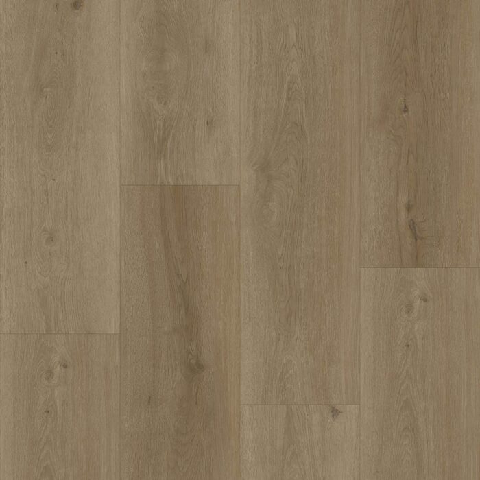 Bodiax BP500 Thor Selenite 533