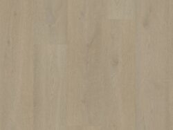 Bodiax BP500 Thor Sherbrooke Oak 511