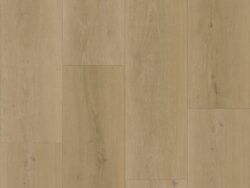 Bodiax BP500 Thor Silt 531