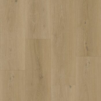 Bodiax BP500 Thor Silt 531