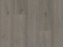 Bodiax BP500 Thor Windsor Oak 517