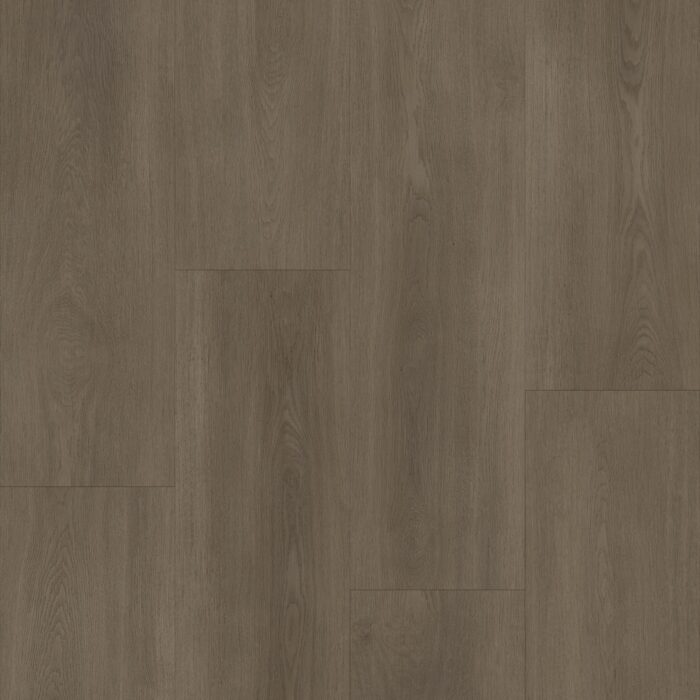 Bodiax BP590 Royal Majestic 592