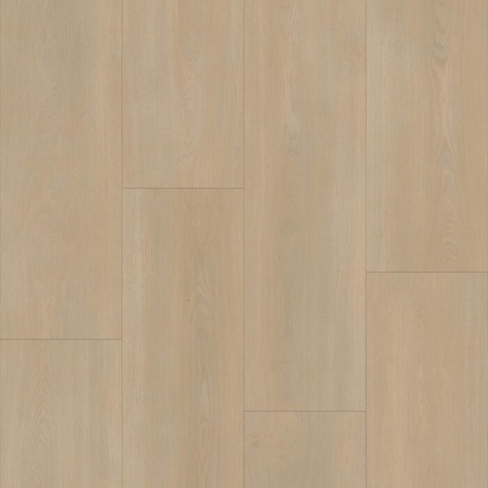 Bodiax BP590 Royal Royalton 591