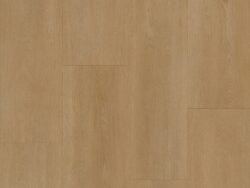 Bodiax BP590 Royal Vendome 594