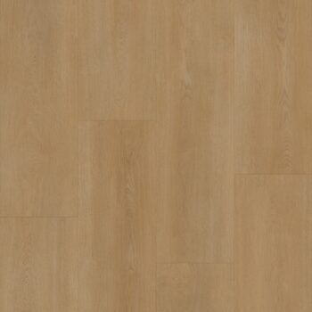 Bodiax BP590 Royal Vendome 594