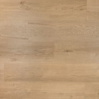 Douwes Dekker Ambitieus Plank Riante plank Gemberkoek 04867