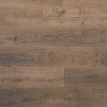 Douwes Dekker Spontaan Plank Dille 04951