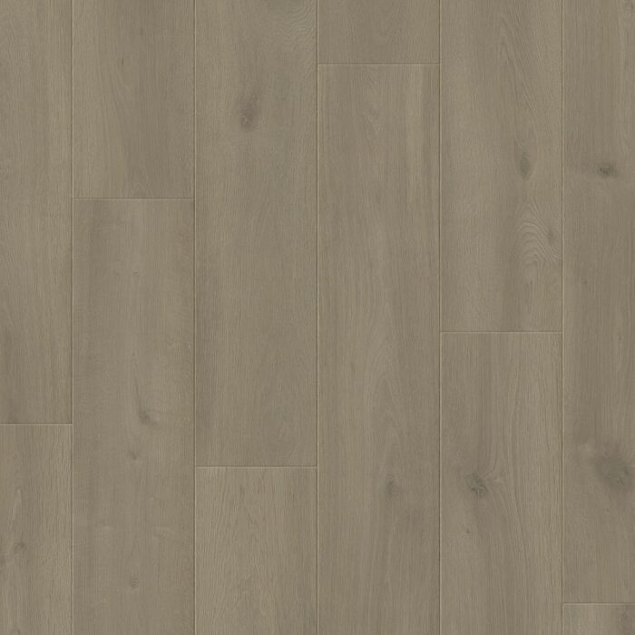 Otium Silk Light Grey 04695