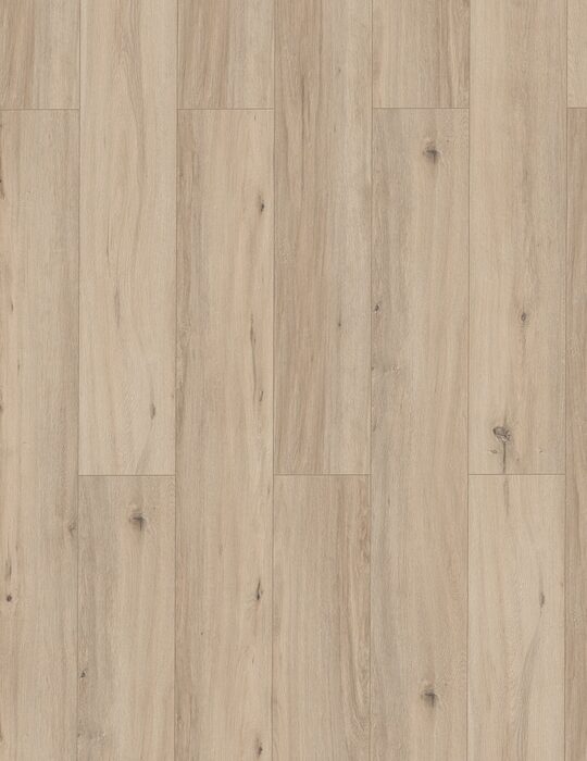 Lifestyle Interior Lungo Bellevue 62960