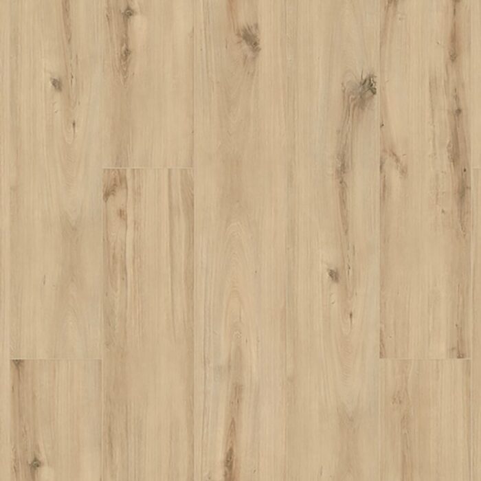 Lifestyle Interior Premium Wide Body  K063