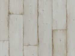 Lifestyle Interior Rose Basic  4950 Rose Basic