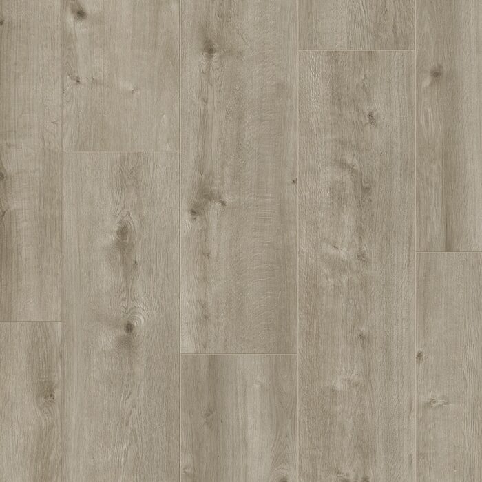 Lifestyle Interior Rose Hydro  5475 Rose Hydro