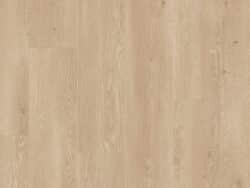 Lifestyle Interior Rose Hydro  60542 Rose Hydro