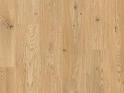 Lifestyle Interior Vitality Style  175