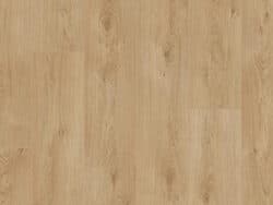 Lifestyle Interior Vitality Style  378